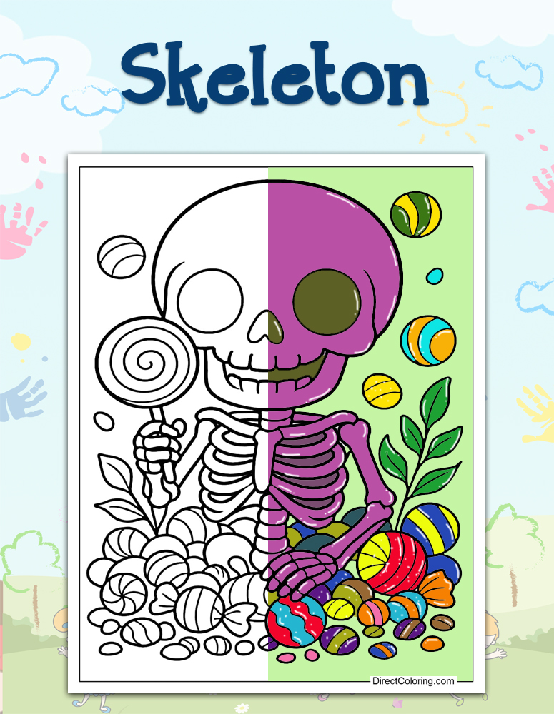Skeleton